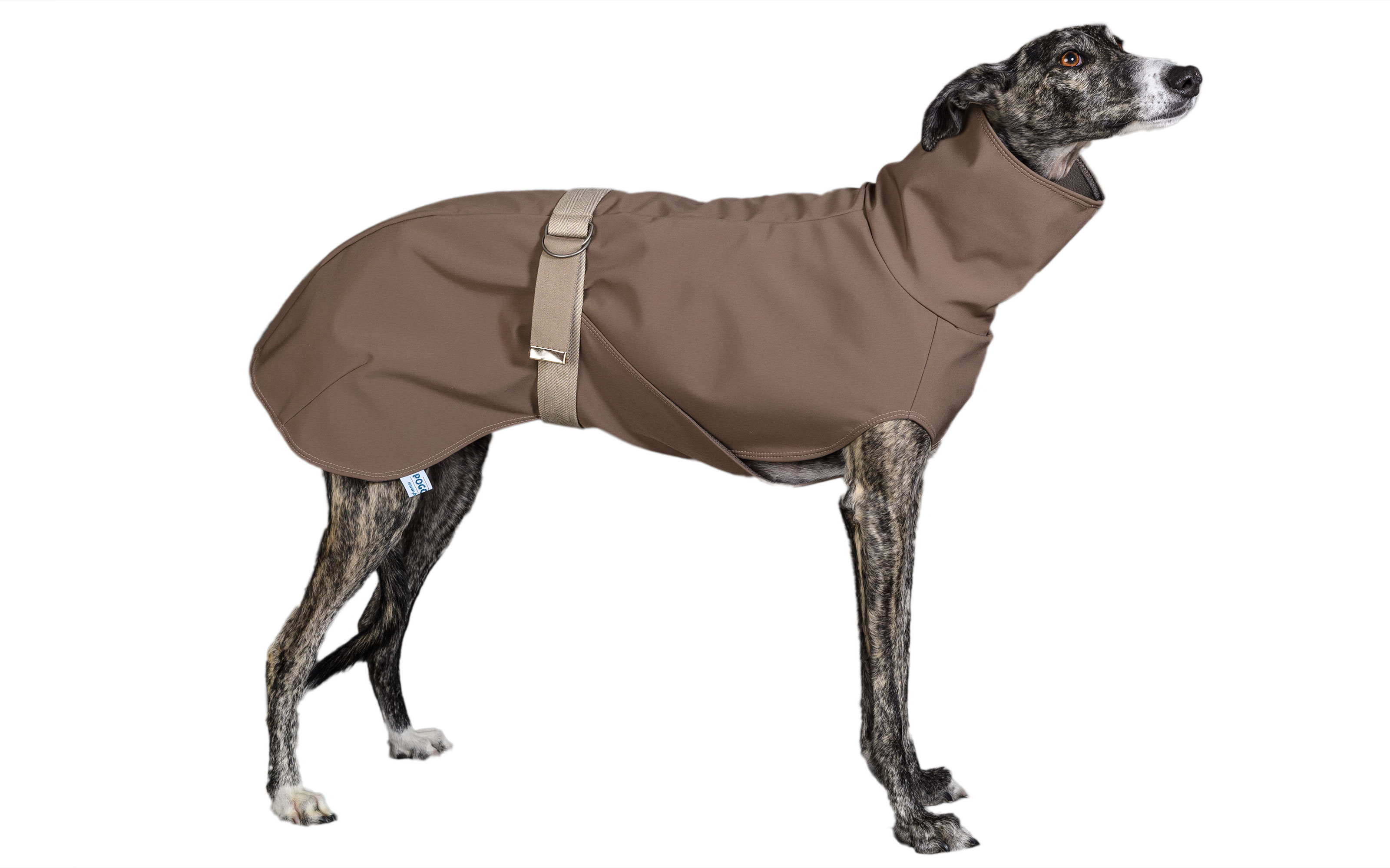 NEU: handgefertigte regenmäntel  für windhunde