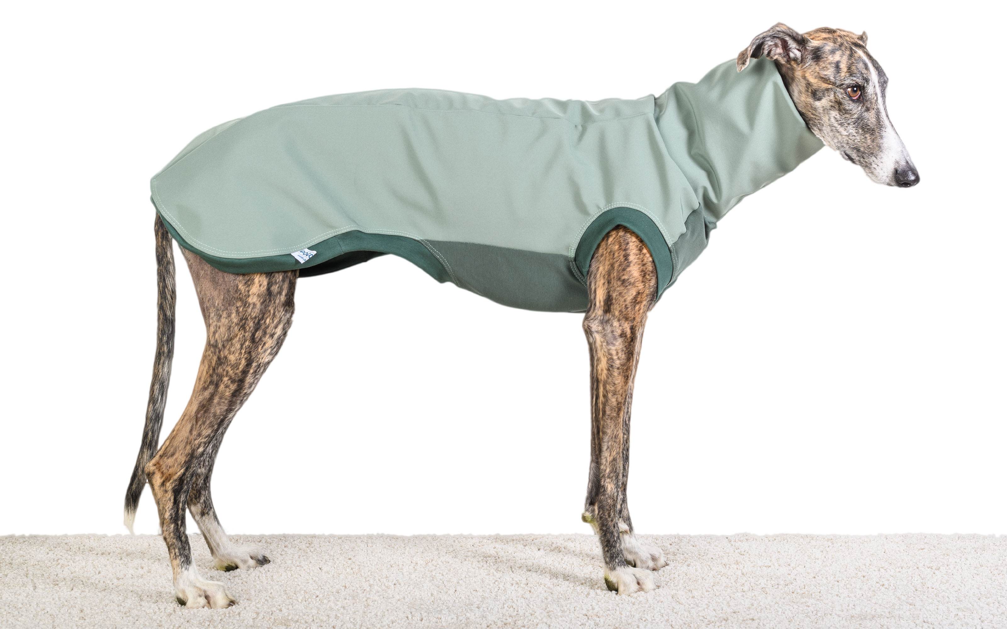 handgefertigte softshell-jumper für windhunde